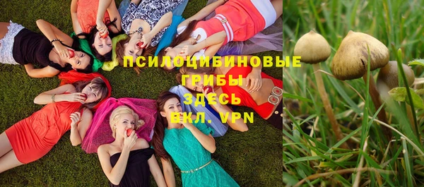 экстази Кулебаки