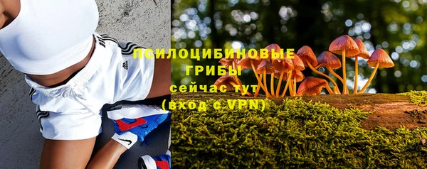 крисы Архангельск