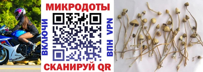 Псилоцибиновые грибы прущие грибы  Таруса 